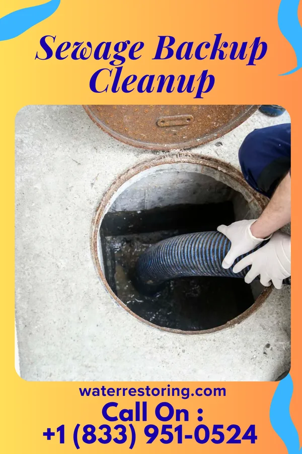 Sewage Backup Cleanup in Vermont, IL
